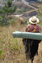 The hike down from the plot of land to Lake Atitlán where he will process the maguey fibers is a steep one for Lucas with his heavy load. Photo by Denise Gallinetti 2005.