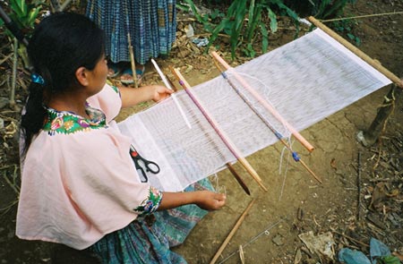 Mercedes Tzib weaves a textile of alternate bands of plain weave with supplementary weft brocaded ducks, and bands of twisted, spaced weave. She uses two chocoys or shed rods on her back strap loom, and a goat bone needle for pickup work.  Photo by Margot Blum Schevill 2005.
