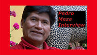 Pedro Meza Interview